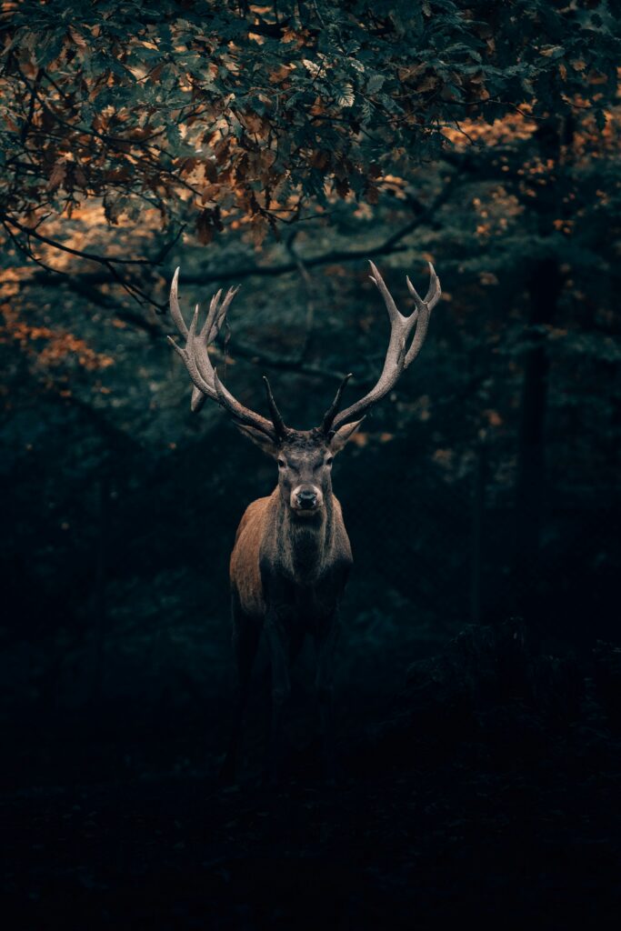Hello World Featured Image